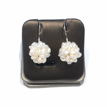 Load image into Gallery viewer, Berry Earrings
