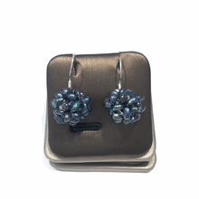 Load image into Gallery viewer, Berry Earrings
