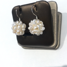 Load image into Gallery viewer, Berry Earrings
